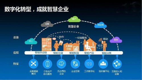 批零软件 数字化转型驱动下的高质量发展新引擎